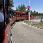 IMG_0611