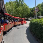 IMG_0618