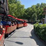 IMG_0620